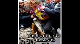 NYPD: Biggest Gang in New York?