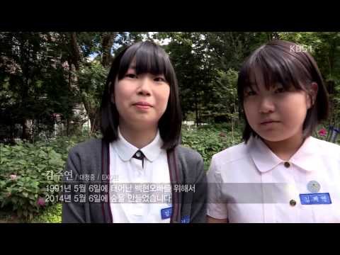 숲에서 길을 찾다 | 스타숲 소개
