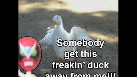 SOMEBODY GET THIS FREAKIN