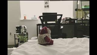 Lotso Climbing Anything Is Possible Stop Motion