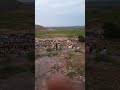جبل نيالا