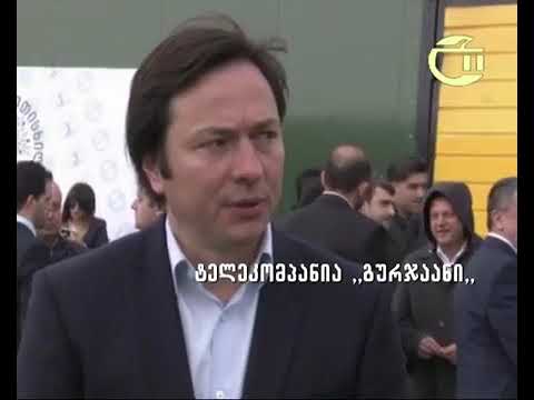 საქართველოში პირველი ზეთისხილის საწარმო კახეთში გაისხნა