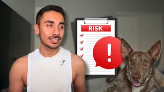 I DNA TESTED MY DOG | Wisdom Panel DNA Test Review