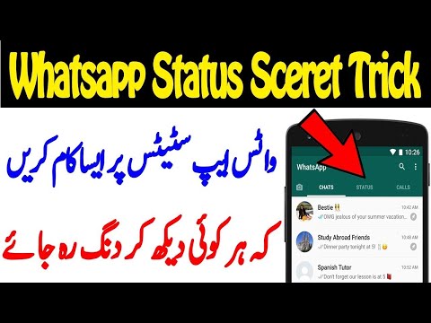 full-screen-whatsapp-status-video-how-to-download-full-screen-whatsapp-status-video-30-second-tips