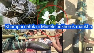 Holong Ni Mosele Bokhorok Mankha Khumpui Natok Ni Raima Saima Ni Kobui Kothuma