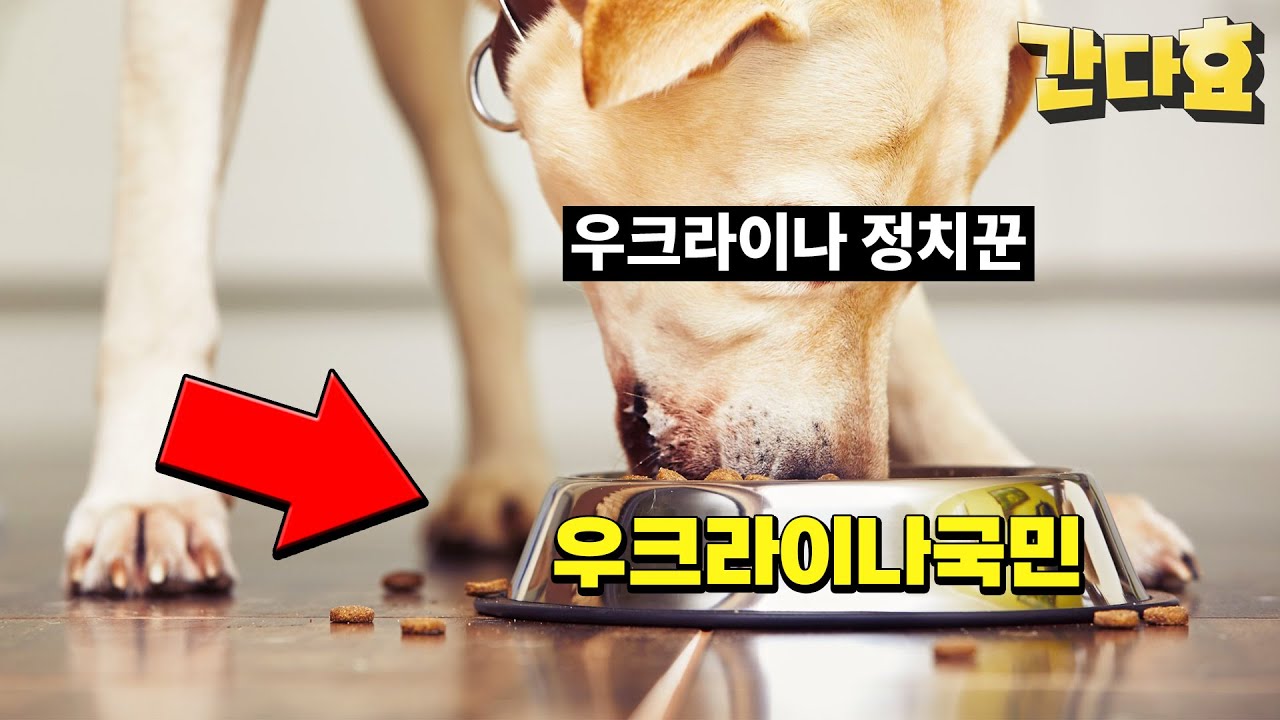 국제정치적으로 우크라이나가 까이는 이유