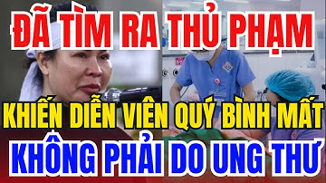 👉 Chấn Động: Đã Tìm Ra Thủ Phạm, Khiến Diễn Viên Quý Bình Mất, Không Phải Do Ung Thư 😱⚖️