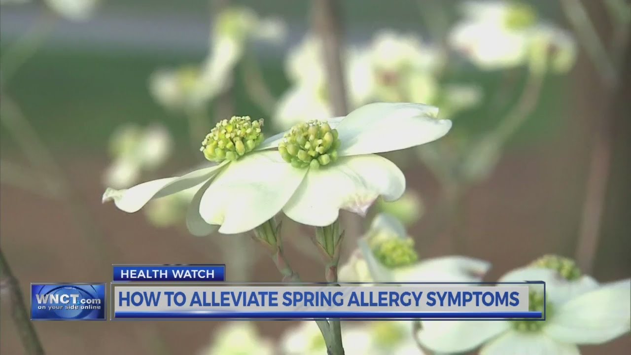 Allergy Season is upon us YouTube