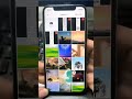 Too many photos?Convert photos to a single PDF in seconds #shorts #pdfconvert #phototopdf #jpgtopdf