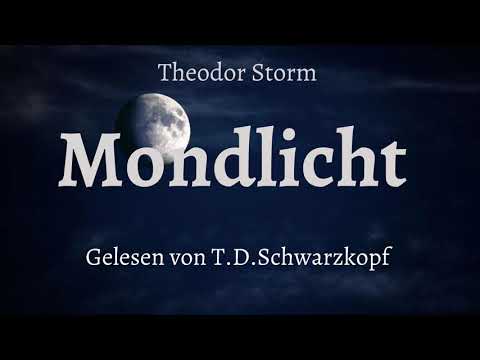 Theodor Storm- Mondlicht