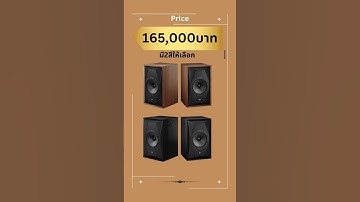 ลำโพง Mofi รุ่น Sourcepoint10 ราคา 165,000 บาท หน้าตาวินเทจ แต่เสียงร่วมสมัยสุดๆครับ #mofi #piyanas