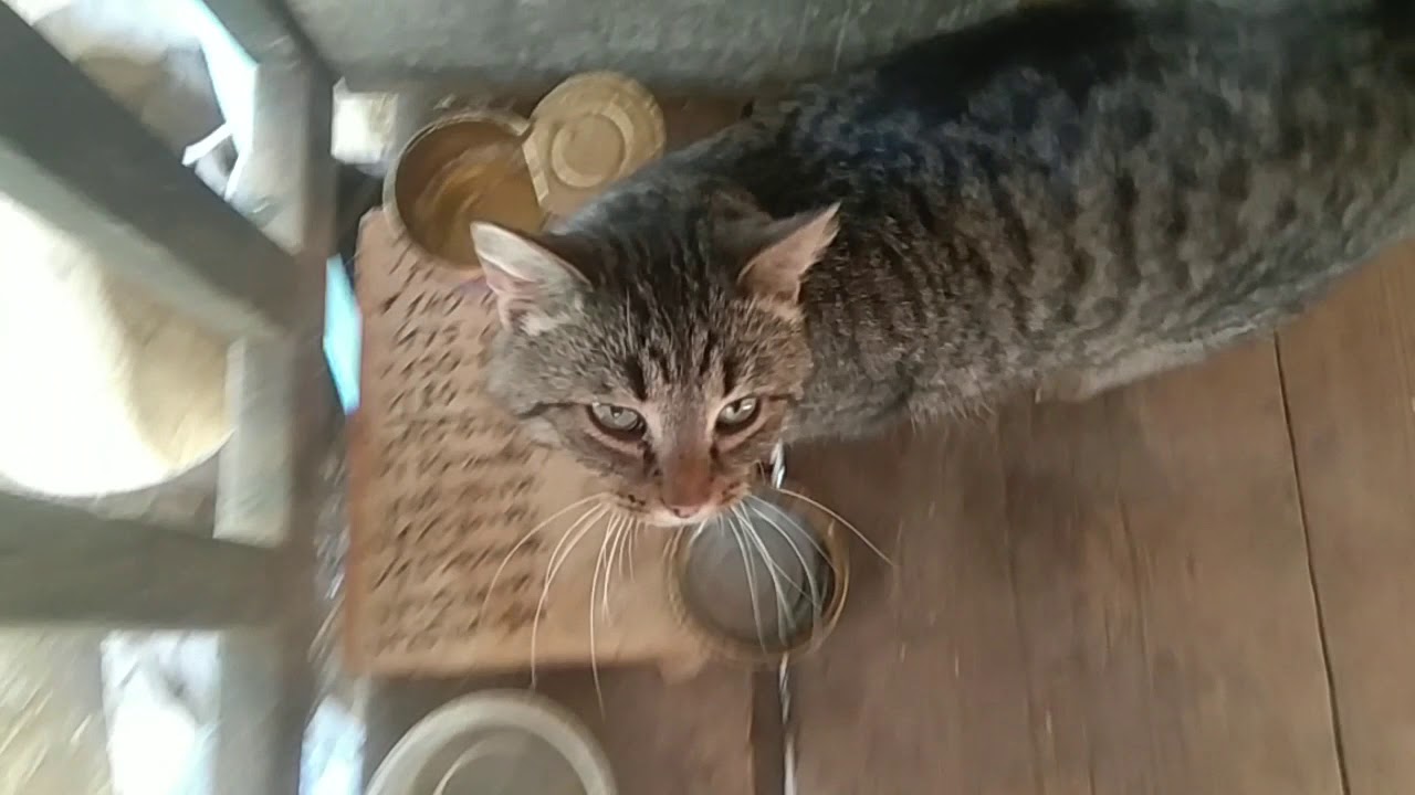 Стройка жб дома. Утепленная кровля. - YouTube