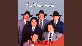 Video thumbnail of "Los Caminantes - Felicidades"