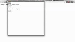 5 - HTML Heading and Paragraph