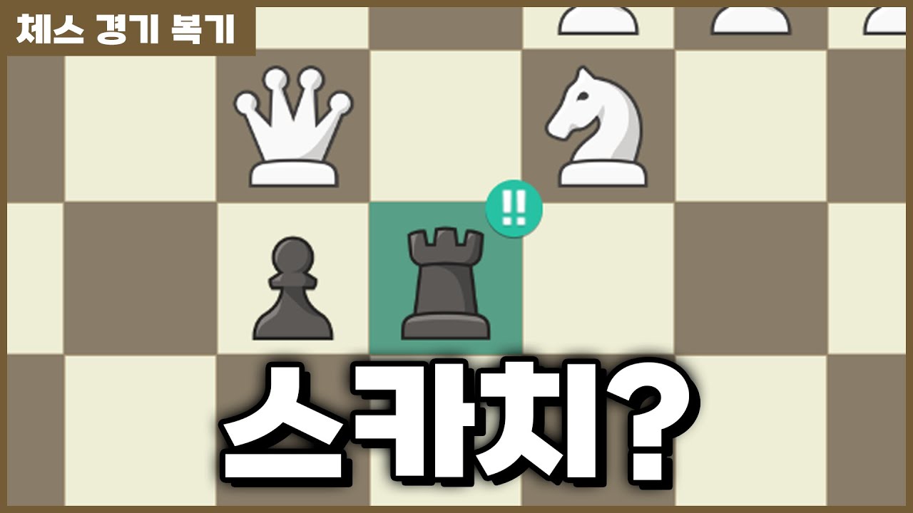 스카치를 상대해보자