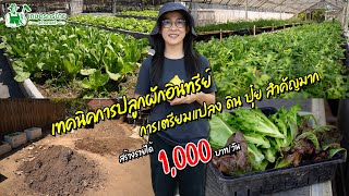 มาดูเทคนิคการปลูกผักอินทรีย์ ผักออแกนิค สร้างรายได้ 1,000/วัน l ชมสวนเกษตรกรไทย Ep311