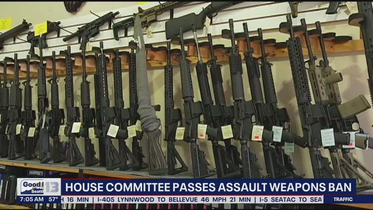 House votes to reinstate 'assault weapons' ban for first time in decades