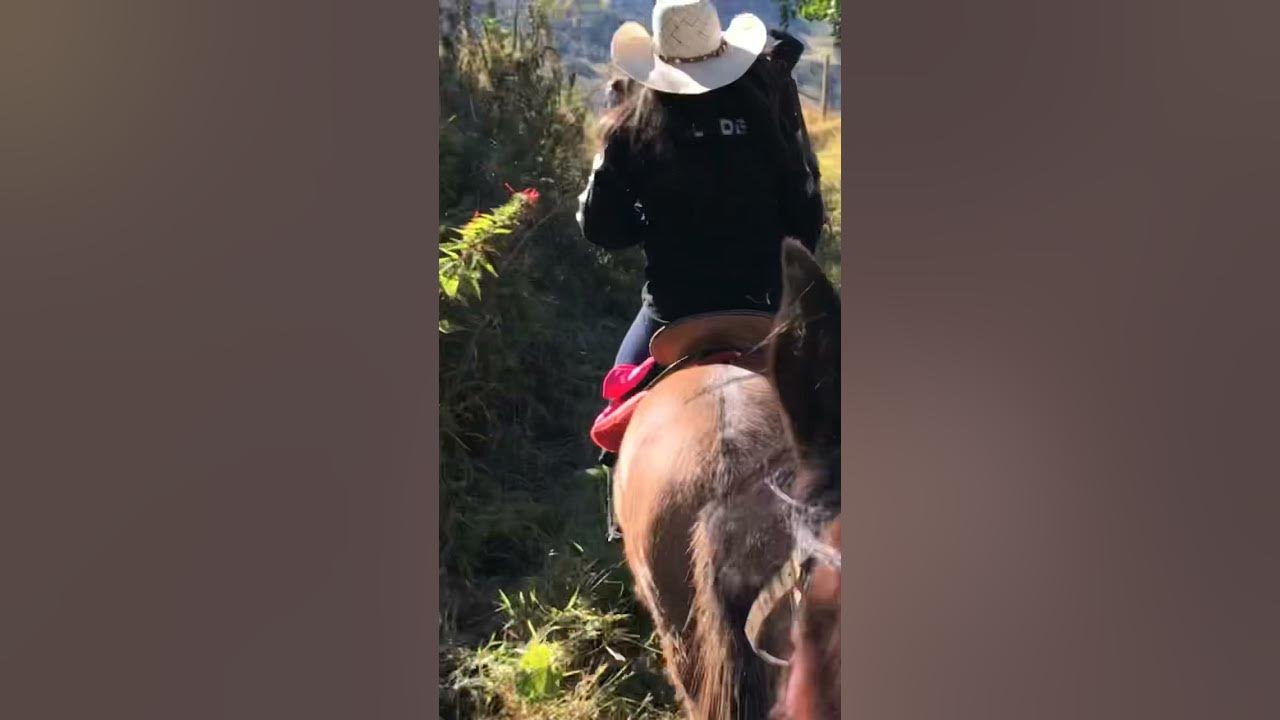 🐎﻿ Cavalo Que Pula 🐎 Tião Carreiro e Pardinho 