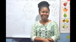 GRADE 1 E LEARNING PROGRAM  MATHEMATICS WEEK 5&6