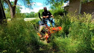 WORST LAWN I'VE EVER CUT FREE ABANDONED YARD CLEANUP Short Version