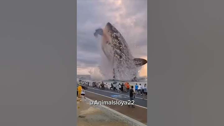 los animales pequeños y ahora los grandes