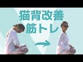 【背中】猫背改善トレーニング!トレーニングチューブを使った背中の筋トレ