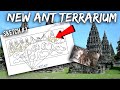 Voting for a Sketch for a New Ant Terrarium