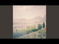 Resonance Fragment
