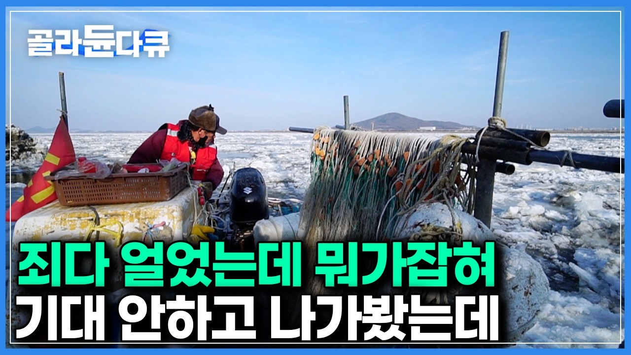‘한강에서 고기 잡는다’ 하면 다 기절한다는데, 막상 나가보니 말도 안되는 어획량｜한국기행｜#골라듄다큐