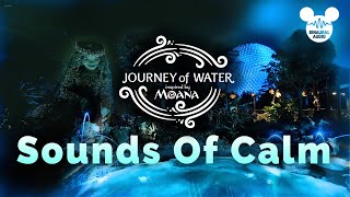 Relaxing Sounds of Nature  Journey of Water: Inspired by Moana I Walt Disney World