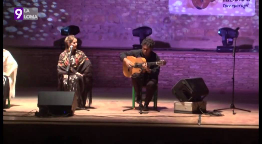 Feria de Torreperogil 2014 · Festival flamenco 1/2