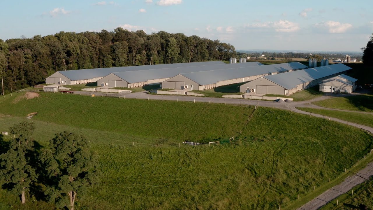 A Wonderful Way of Life West Virginia Poultry Growing Opportunities