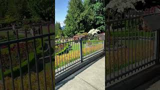 University of British Columbia (UBC)#UBC#Vancouver#Canada#university campus#campus tour#travel
