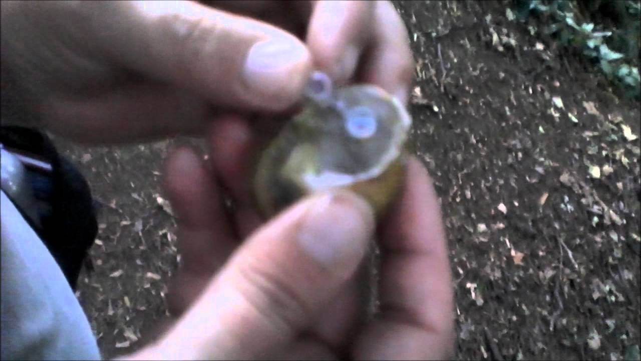 Grosse Pomme Schraubnano Pour Geocaching - Boîte Micro Cache Nano Récipient - Neuve