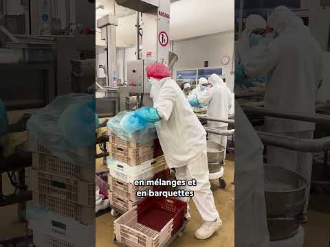 Miniature de la vidéo Devenir Conducteur de ligne de production alimentaire : missions, études, salaire