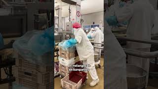 Devenir Conducteur de ligne de production alimentaire : missions, études, salaire