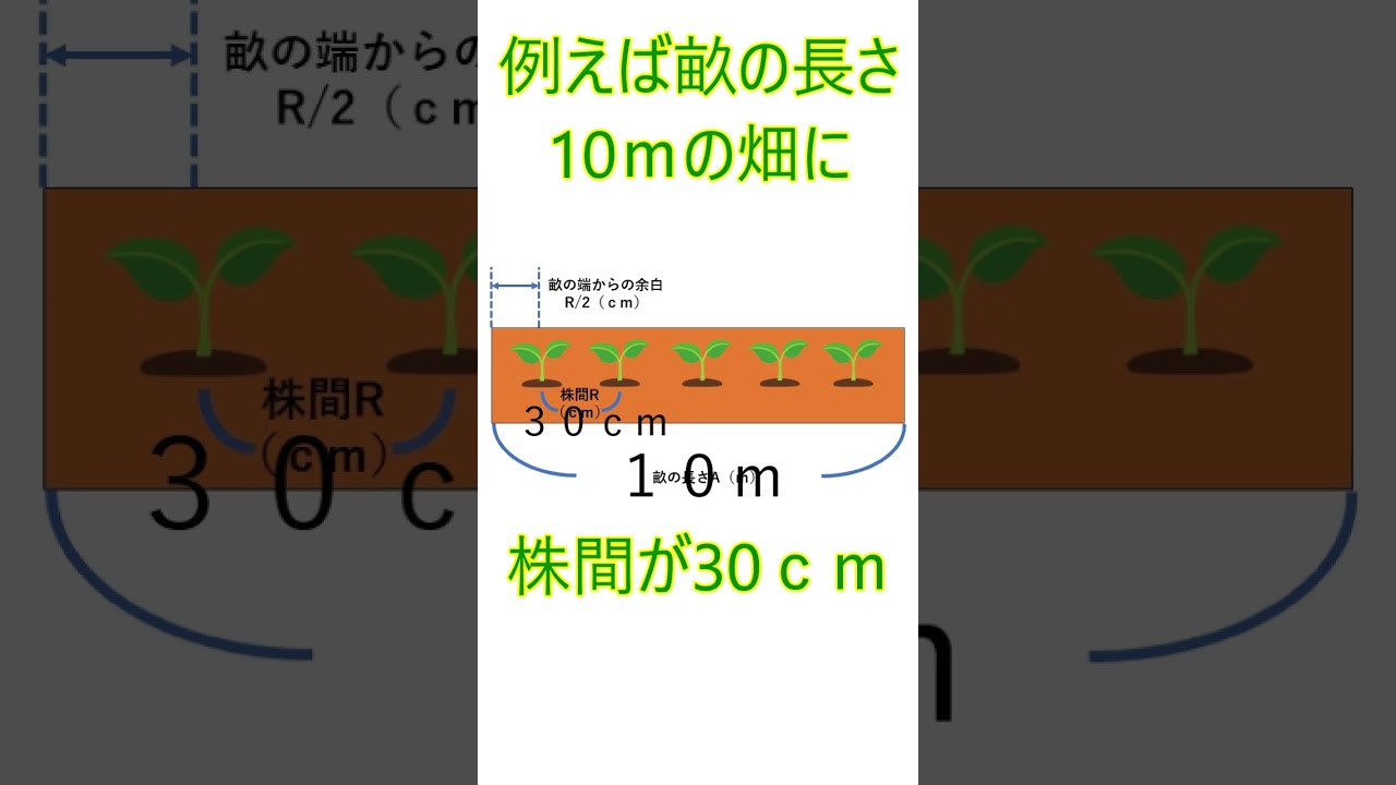 専用ページ　15、15、17、17、24、20苗 No need to worry about this! You can easily calculate the number