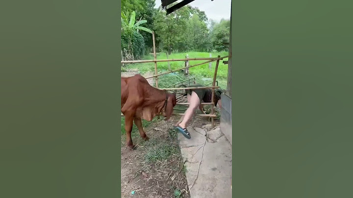 HIBURAN LUCU WARGA 62 | video lucu bikin ngakak hiburan warga+62 funny videos