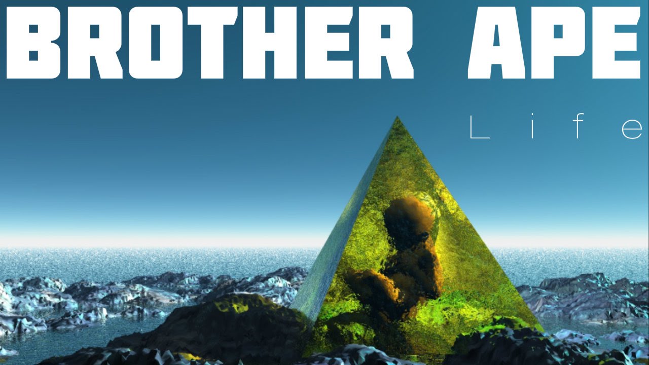 Watch Brother ape plays "LIFE" on YouTube Watch Brother ape plays "LIFE" on YouTube