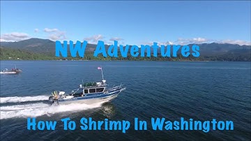 How To Shrimp In Washington State (Location, Bait and Gear)