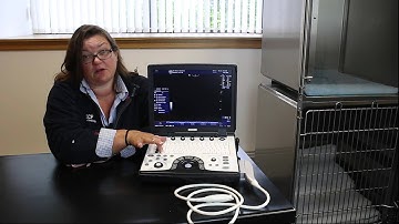 The main keyboard functions of the GE Logiq e veterinary ultrasound scanner