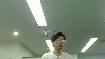 Unity "Dlib FaceLandmark Detector" Test