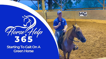 Starting To Gait On A Green Horse | Horse Help - Michael Gascon