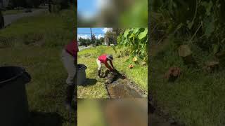 Ultimate Satisfying Lawn Mowing 🌱 | Relaxing Lawn Care ASMR