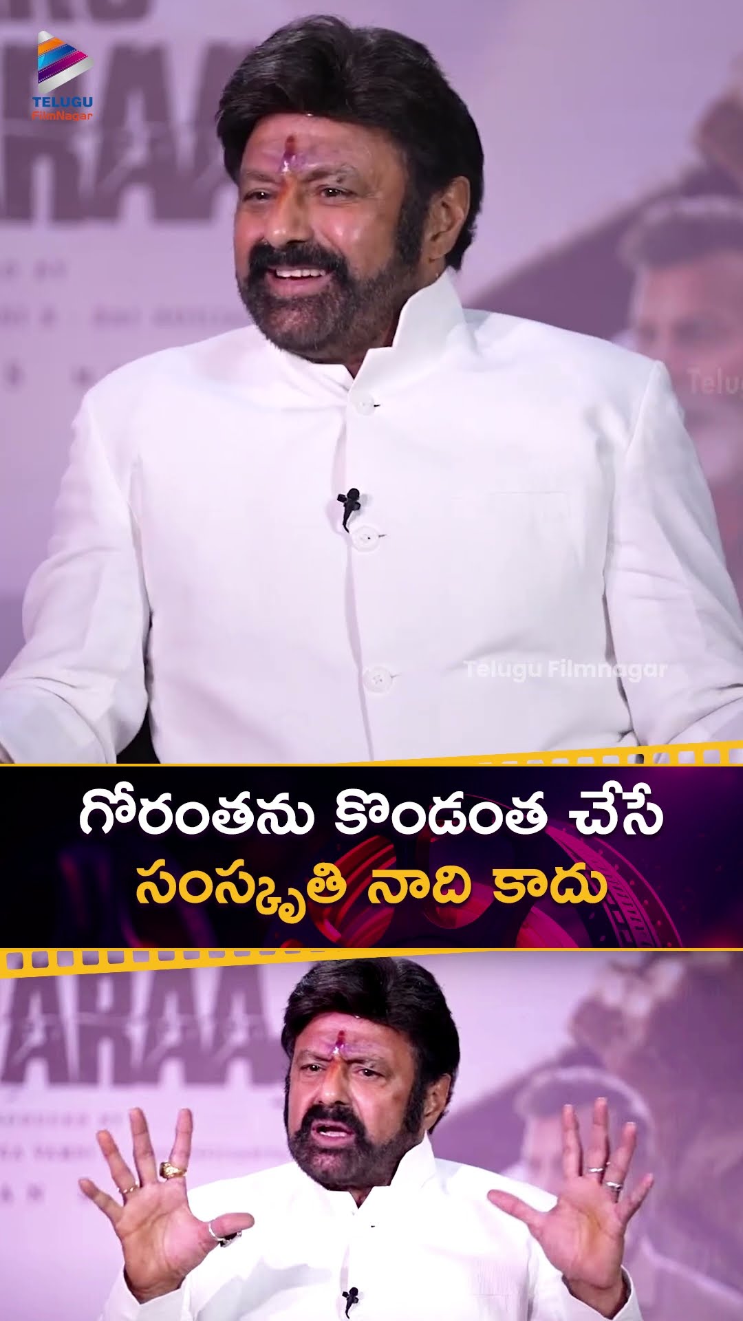గోరంతను కొండంత చేసే సంస్కృతి నాది కాదు | #Balakrishna | #DaakuMaharaaj | #Shorts | #YTShorts | TFN
