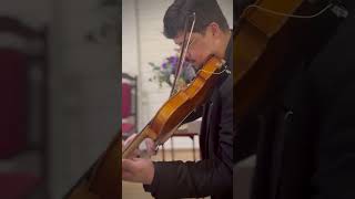 #violin #luminary #violino