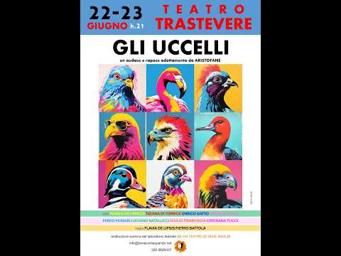 Video 2026 - Uccelli prima serata