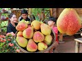 Sweet pears fruit juice | Pears fruit drinking for my brothers | Pears in my homeland