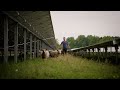 Natural grazing by sheep on solar parks