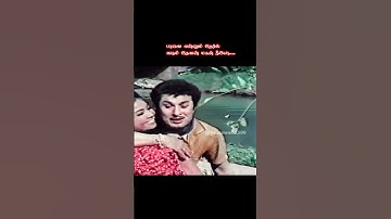 🎶♥MGR vintage song | Pachchaikili muthu | #tms | #psusheela | #mgr | #old | #song | #whatsappstatus